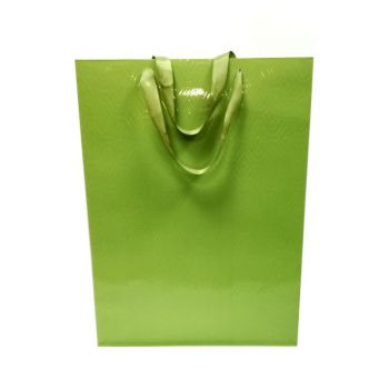 Пакет подарочный глянцевый текстурный зелёный 40*55см