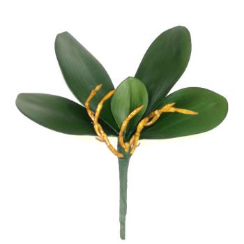 Лист орхидеи зелёный искусственный 21см (композиция 5 листов)